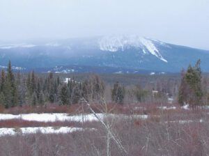 gloomy day (Gloomy Weather at Ginty Creek)