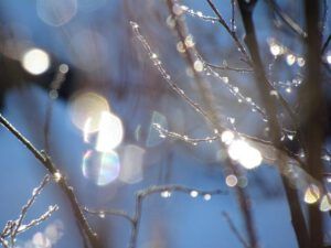 ice drop abstract 1 (Solstice at Ginty Creek)