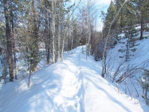 snowshoe track (Thawing again.)
