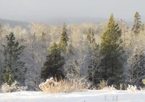 soft snow (Thawing again.)