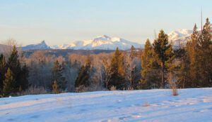 clear morning (Sunshine!)