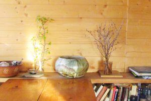 cottonwood and pussy willow (Growing Sprouts at Ginty Creek)