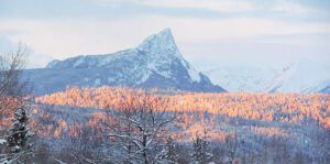finger peak (Winter!)