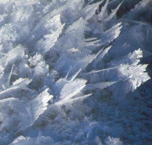 ice crystals (Sunshine!)