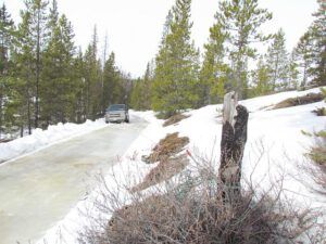 come-along (Spring Equinox at Ginty Creek)