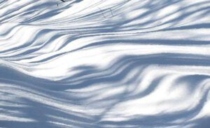 shadows on snow (More Winter at Ginty Creek)