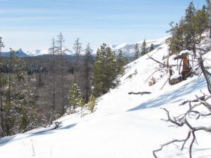 south bluffs (More Winter at Ginty Creek)