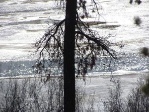 river on iice (Having fun on the road at Ginty Creek.)