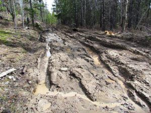 Boghole (The Mud Saga Continues.)