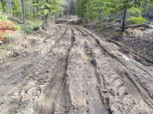 boghole drying (The Mud Saga Continues.)