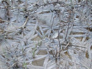 ice patterns (Spring is right around the corner.)