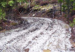 the mudhole (The boghole)