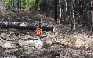 tree falling (The Mud Saga Continues.)