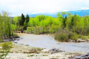 McClinchy River (Spring!!!)