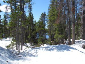 snowdrift (Winter damage at Nuk Tessli)