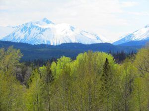 spring green (Spring!!!)