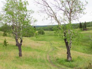 walker valley (Walker Valley at the one-oh-eight)