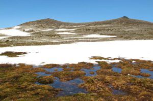 The Mammaries (The Mammaries 5th July 2012)