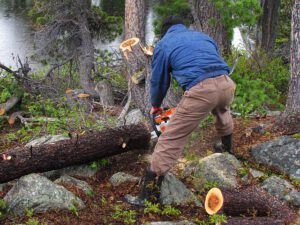 clearing area for hot tub (Nuk Tessli’s New Owner)