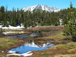 first meadow (North Pass Lake late June)