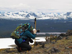 on top of mammaries (The Mammaries, late June)