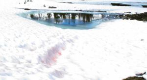 pink snow (North Pass Lake late June)