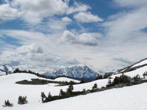 sawtooth (The Mammaries, late June)