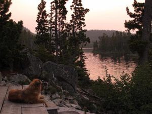 smokey light (Smoke)