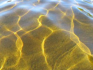 sun ripples on bottom (Nuk Tessli heatwave)