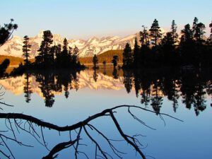 sunrise with branch (June sunrise at Nuk Tessli)