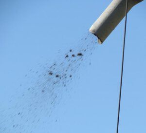 11 wet clumps (Drilling The Well at Ginty Creek Part One)