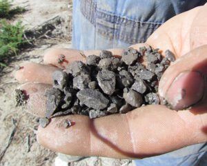 14 bedrock (Drilling The Well at Ginty Creek Part One)