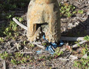 7 drill bit over my mark (Drilling The Well at Ginty Creek Part One)