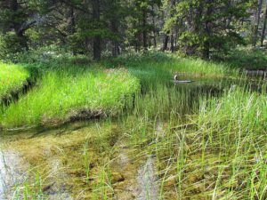 along otter ck (The Block, 9th August 2012)