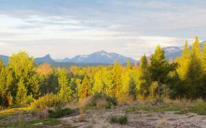 back to GK (Back to Ginty Creek)