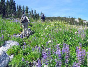 chuck and jeanette (North Pass Meadows 6th August 2012)