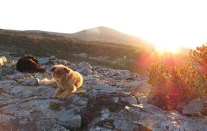 dogs and sunrise (Mammaries 29 – 31 July 2012 Part Four)