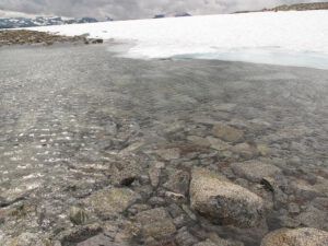 drink spot (Mammaries 29 – 31 July 2012 Part Three)