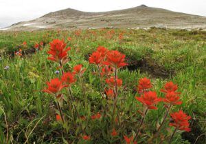 paintbrush and mammaries (Mammaries 29 – 31 July 2012 Part Two)