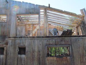 3 2 by 6 abstract (September volunteer work at Ginty Creek)