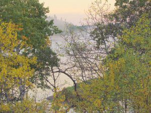 WV pond (The turn of the seasons at Ginty Creek)