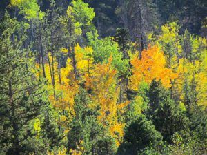 chilcotin colour 1 (Chilcotin fall)