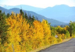 chilcotin colour near Tatla (Chilcotin fall)