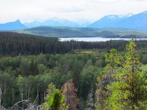 from south bluff (seasons turning at Ginty Creek)