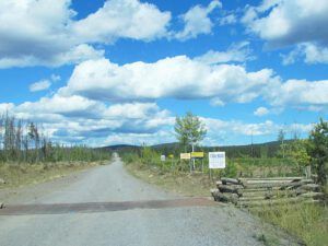 logging road (The turn of the seasons at Ginty Creek)