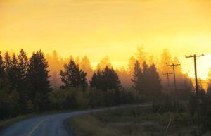 morning mist to town (Chilcotin fall)