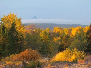 sun before rain (Chilcotin fall)