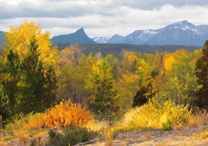 1 fall pre wind (The Fall)