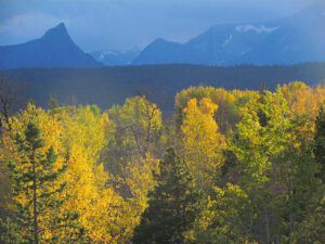 2 storm evening (The Fall)