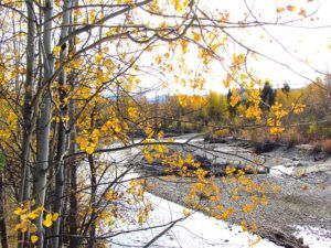 b river (A taste of winter at Ginty Creek)